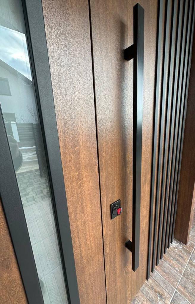 Puerta de seguridad con fijo lateral en cristal ahumado